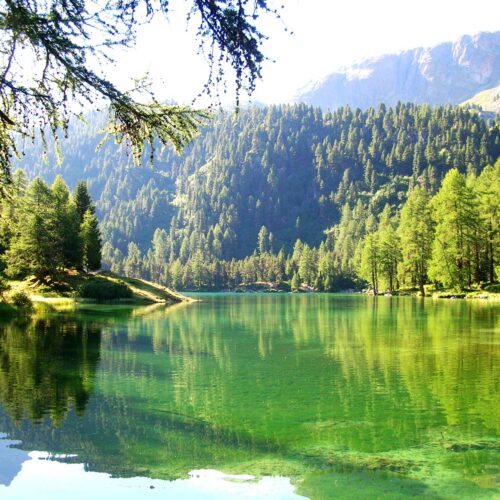 Lac_de_Palpuogna_Grisons_Suisse